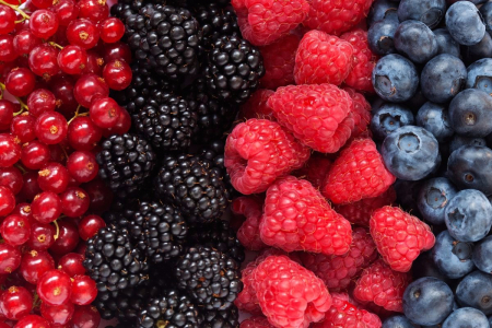 gallery/berries